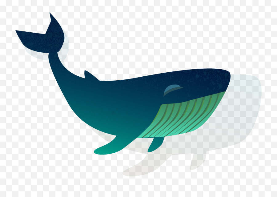 Blue Whale Clipart Shark - Blue Whale Clipart Png,Whale Shark Png