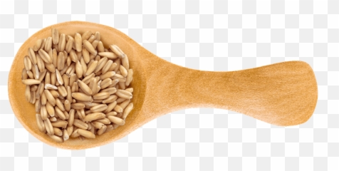 8 Wholesome Grains We Canu0027t Get Enough Of - Spelt Png,Grains Png