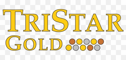 Tristar Gold Inc - Schema Corporeo Da Colorare png