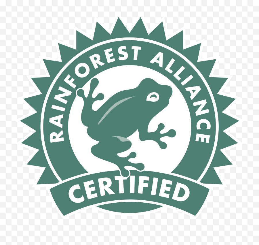 Big Y - Rainforest Alliance Logo Png,Big Y Logo