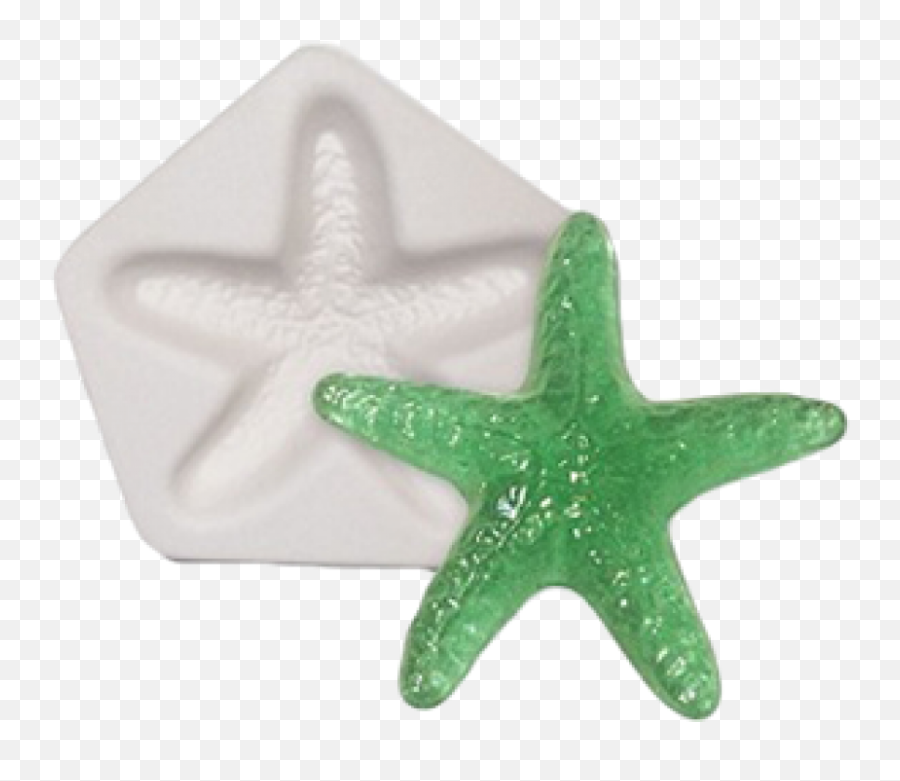 Starsh Casting Mold - Starfish Png,Starfish Transparent