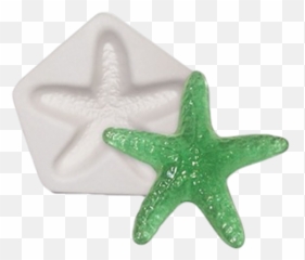 Starsh Casting Mold - Starfish Png,Starfish Transparent