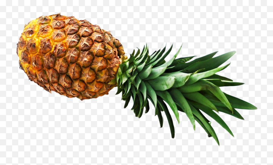 Download Pineapple Png Image For Free - Pineapple,Pineapple Transparent