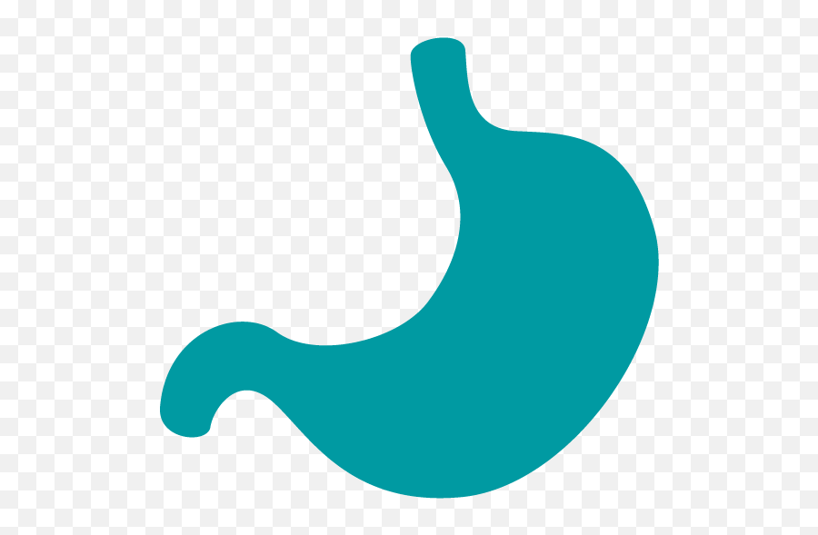 Digestive Health - Inner Health Language Png,Digestive System Icon