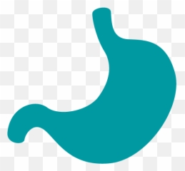 Digestive Health - Inner Language png