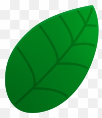 Fiber Choice Chewable Tablets - Green Leave png