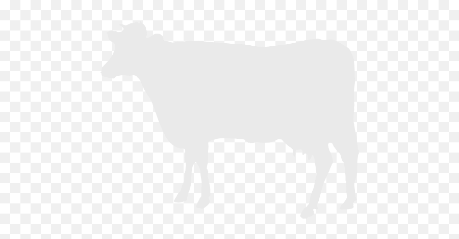 Ox - Free Icon Library Cattle Icon White Png,Yak Icon