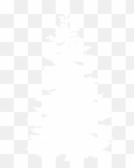 Fir Tree Png Black And White Transparent - Pine Silhouette