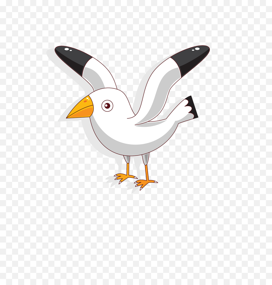Seagull Clipart Australian Bird - Cartoon Seagull Png,Seagull Png