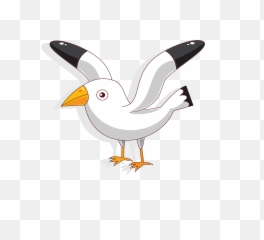Seagull Clipart Australian Bird - Cartoon Seagull Png,Seagull Png
