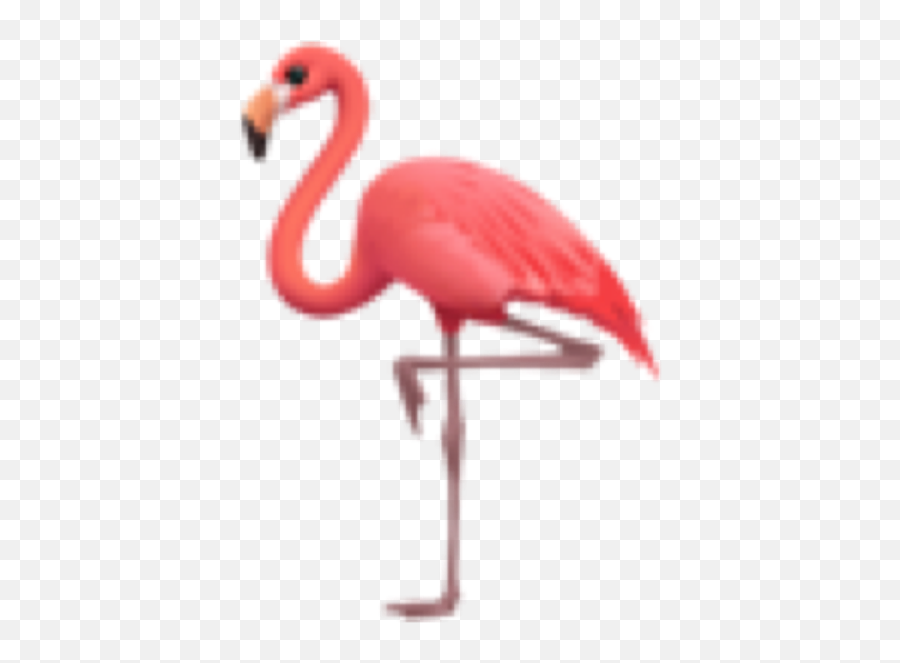 Flamingo Pink Emoji Iphone Iphoneemoji Sticker By Anetinka - Greater Flamingo Png,Pink Flamingo Icon