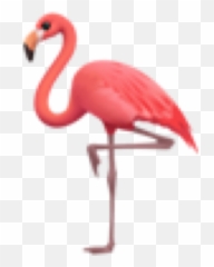 Flamingo Pink Emoji Iphone Iphoneemoji Sticker By Anetinka - Greater Flamingo Png,Pink Flamingo Icon