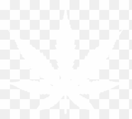 Real Weed Leaf Png - White Weed Leaf Png,Weed Transparent Background