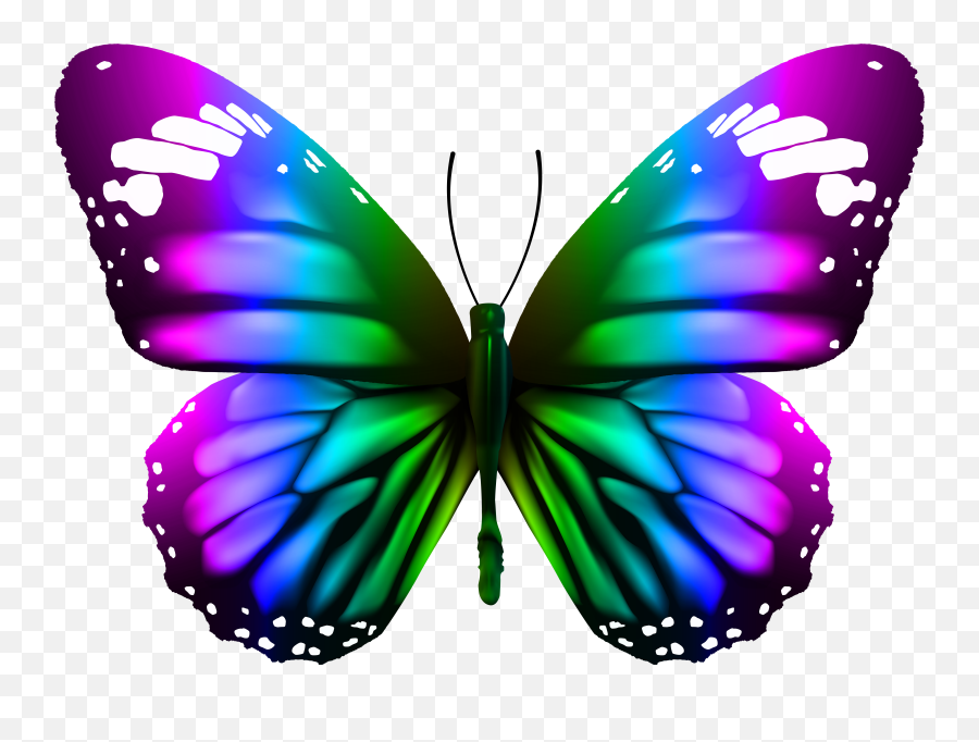 Butterfly Transparent Png Image Gallery Yopriceville - Butterfly Png,Butterflies Transparent Background