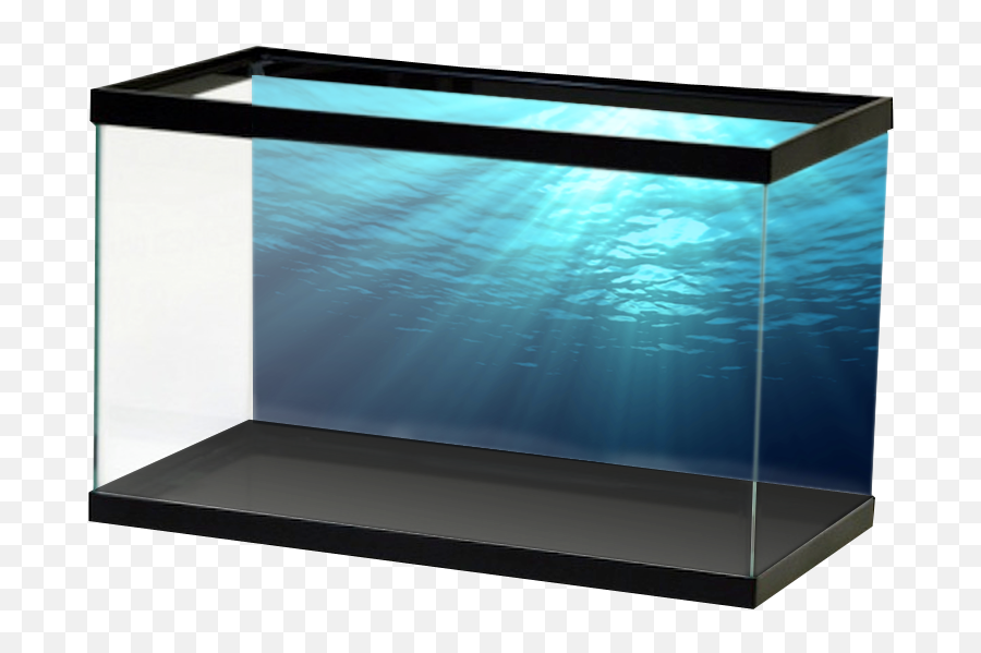 Ocean Background Png - Salt Ocean Fish Tank Ocean Aquarium,Ocean Transparent Background