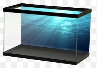 Ocean Background Png - Salt Ocean Fish Tank Aquarium