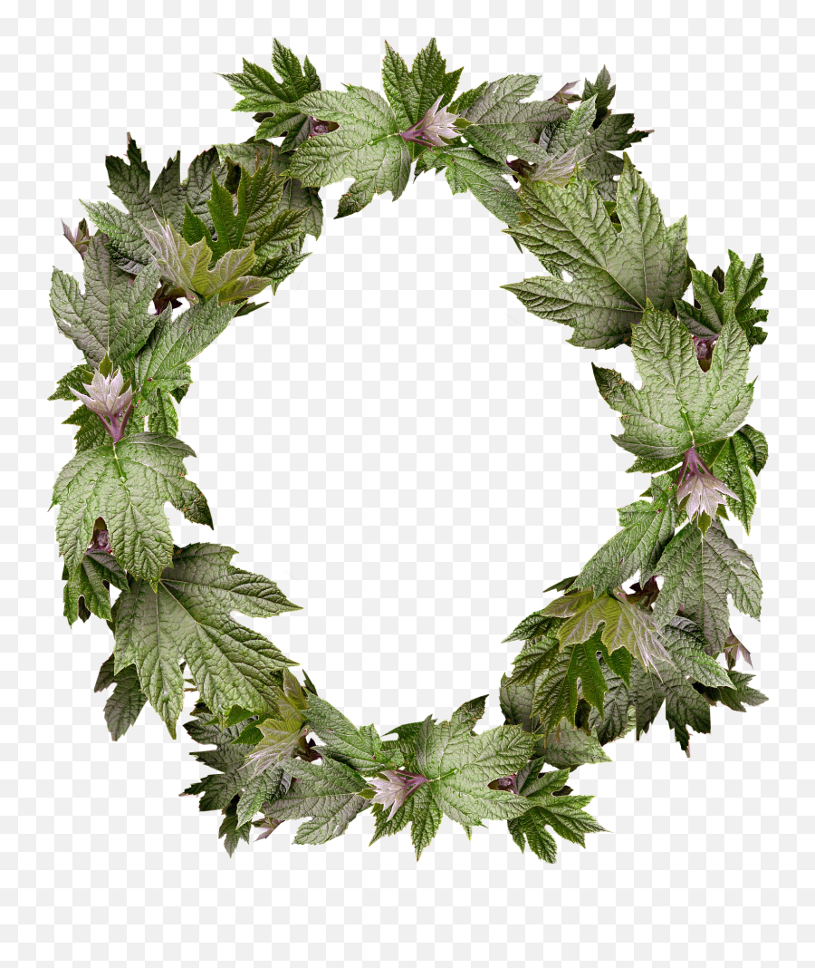 Borderleaves Wreath Frame Border - Free Floral Or Leaf Wreath Picture Frame Png,Leaf Border Png