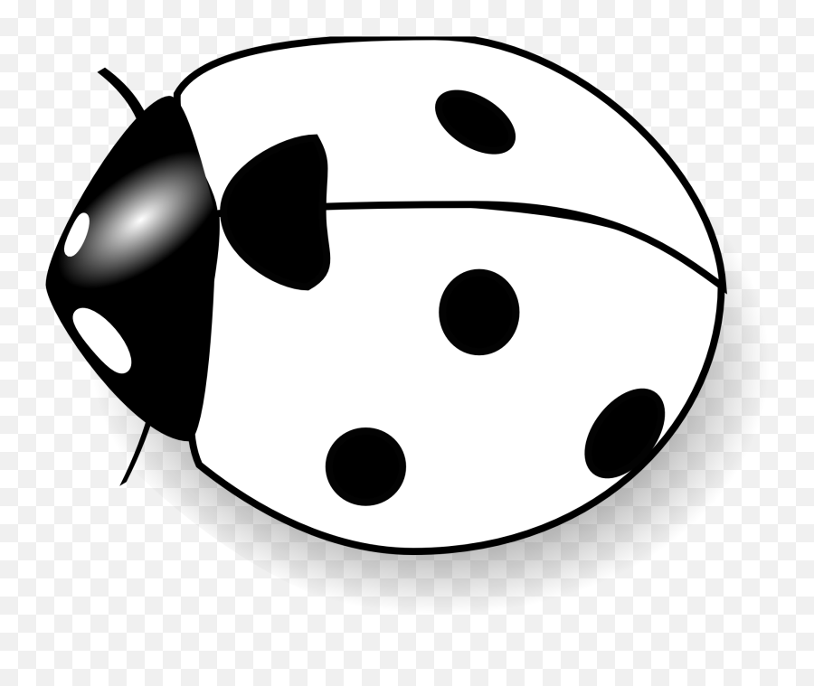 Download Hd Ladybug - Clipart Of Lady Bug Lady Bird Black And White Png,Flower Clipart Transparent