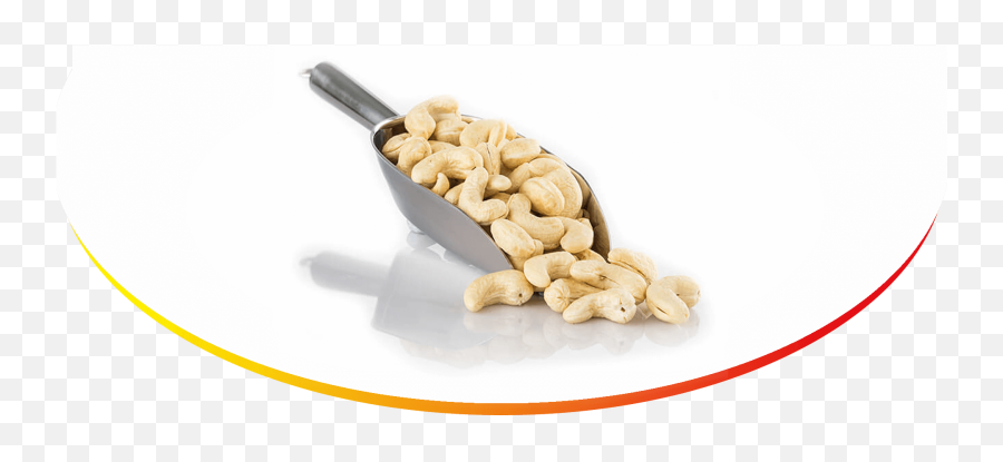 Rancrisp - Cashew In Spoon Png,Cashew Png