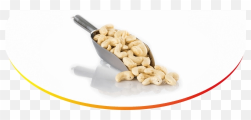 Rancrisp - Cashew In Spoon Png,Cashew Png