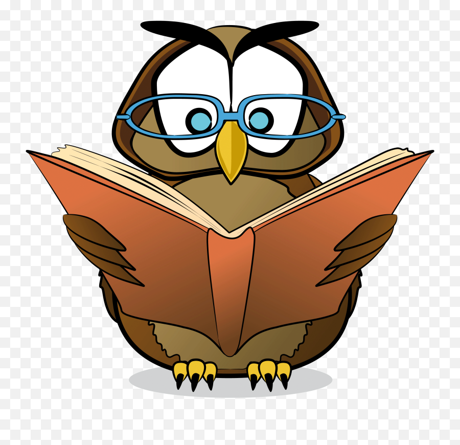 Reading Transparent Owl Picture 1162418 - Owl Cartoon Png,Owl Transparent
