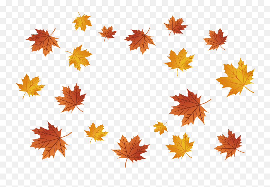 Maple Leaf - Transparent Falling Leaves Png,Maple Leaf Png
