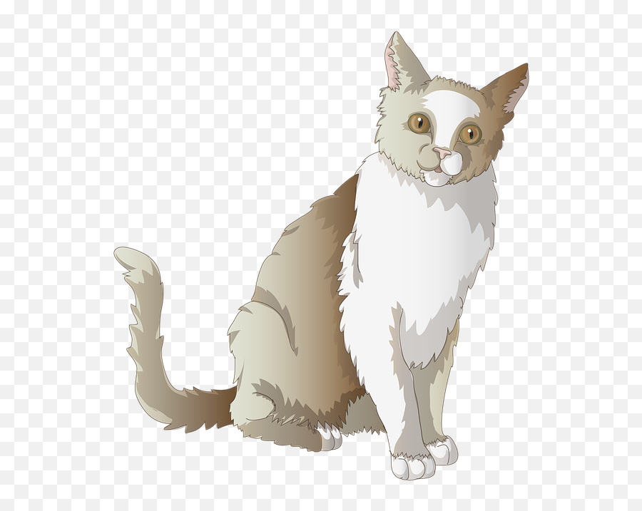 Cat Mieze Transparent - Squitten Png,Cats Transparent