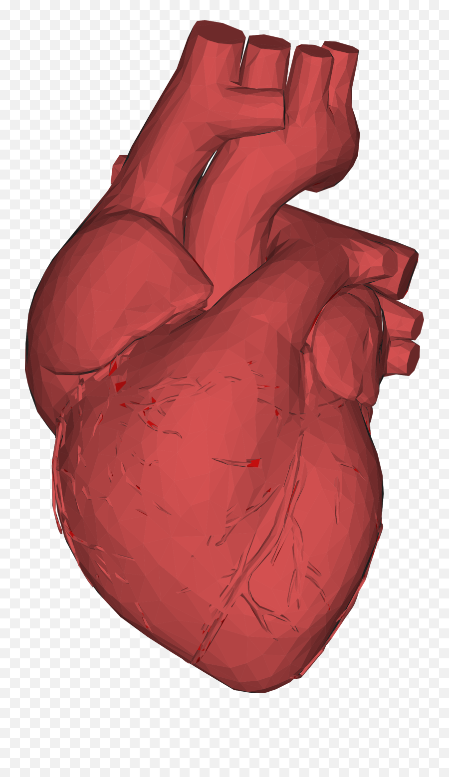 The Heart Of Matter - Single Steps Learning Project Transparent Background Anatomical Heart Png,Muscle Emoji Png