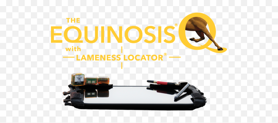 Equinosis Lameness Locator - Equine Inertial Sensor System Dolphin Png,Q Logo