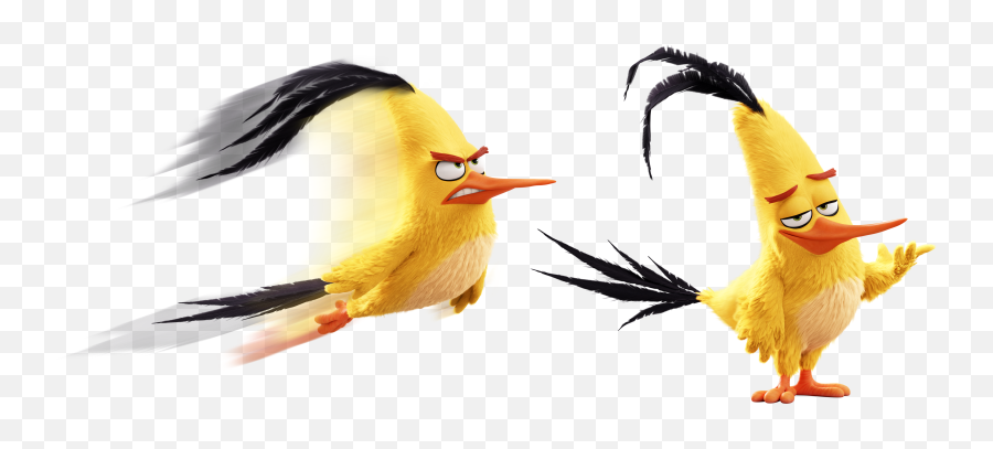 Chuck Angry Birds Wiki Fandom - Angry Birds 3d Png,Angry Eyebrows Png