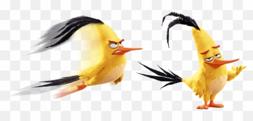 Chuck Angry Birds Wiki Fandom - 3d Png