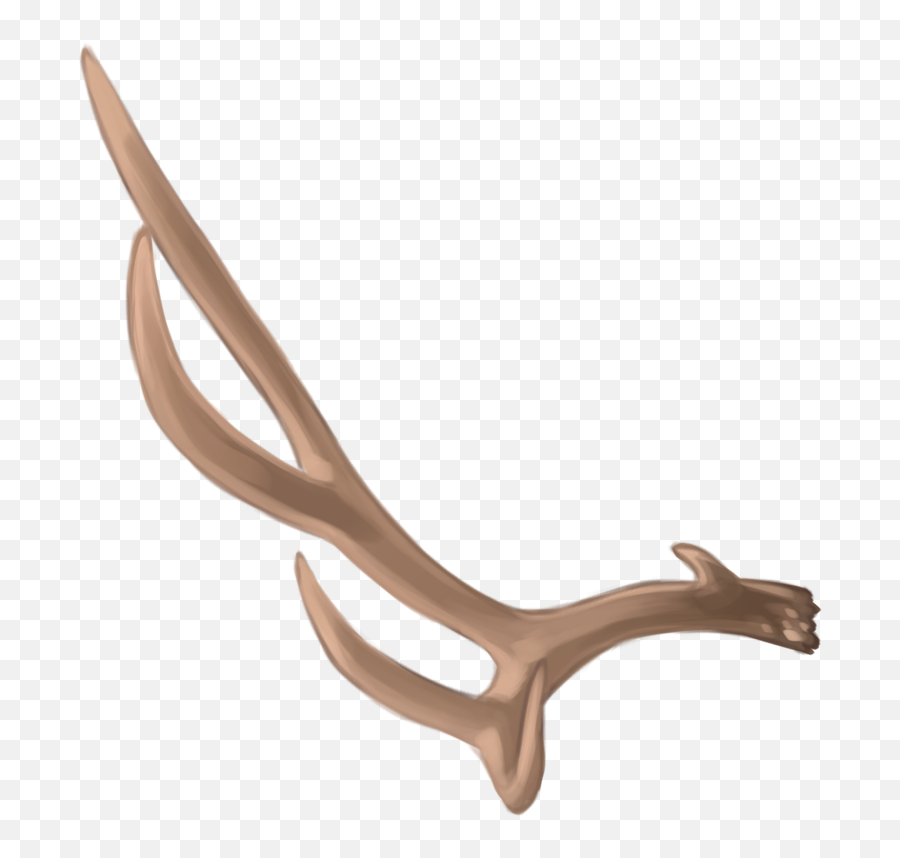 Deer Antler Material - Deer Png Download 800800 Free Wood,Antler Png