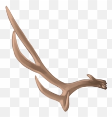 Deer Antler Material - deer png download 800800 Free Wood