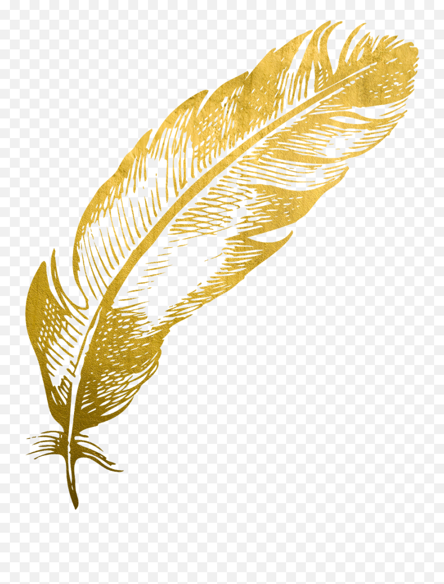 Gold Feather Feathers Native Sticker - Gold Feather Icon Transparent Png,Feathers Transparent