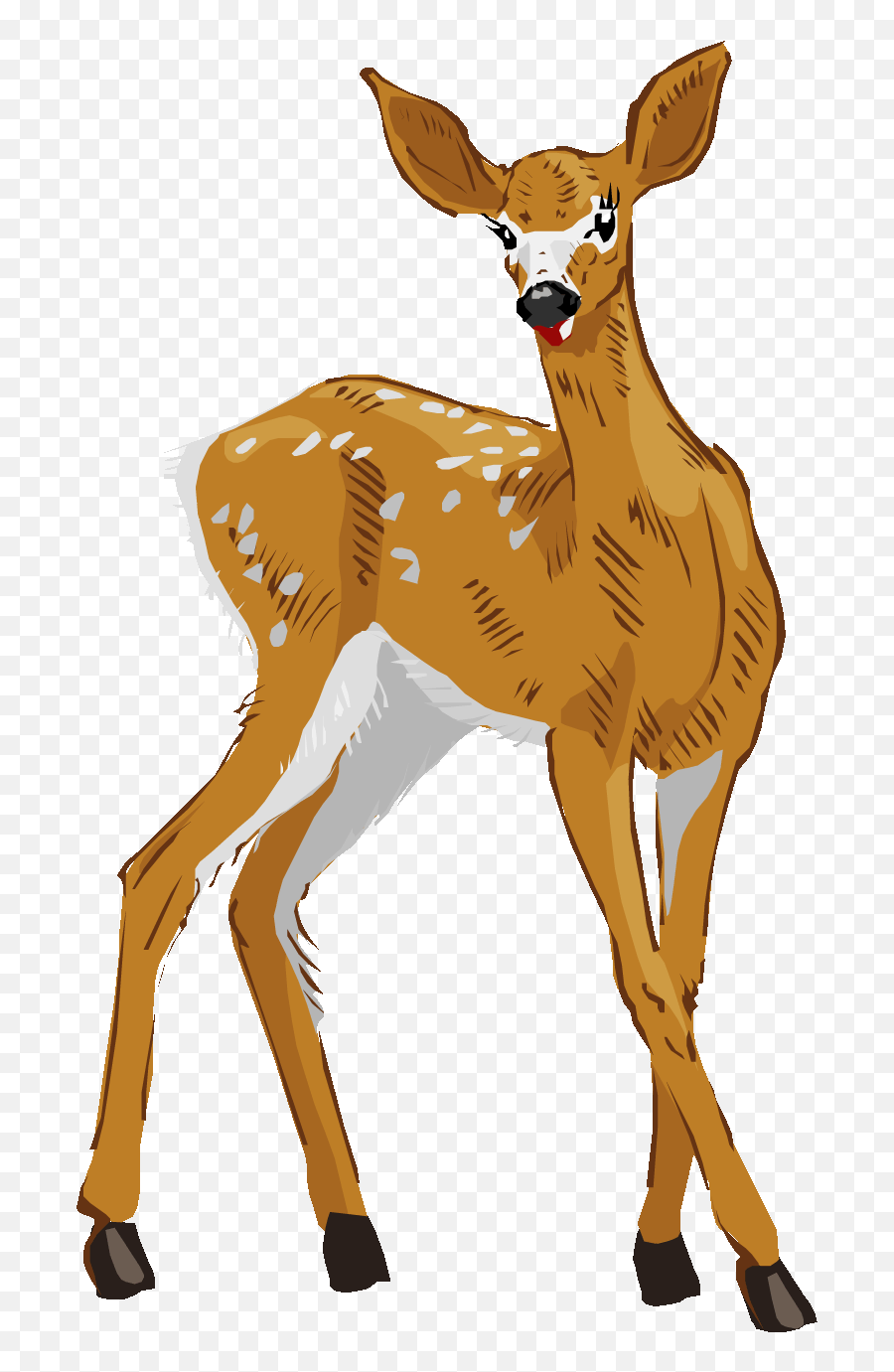 Download Deer Images Image Png - Clip Art,Baby Deer Png