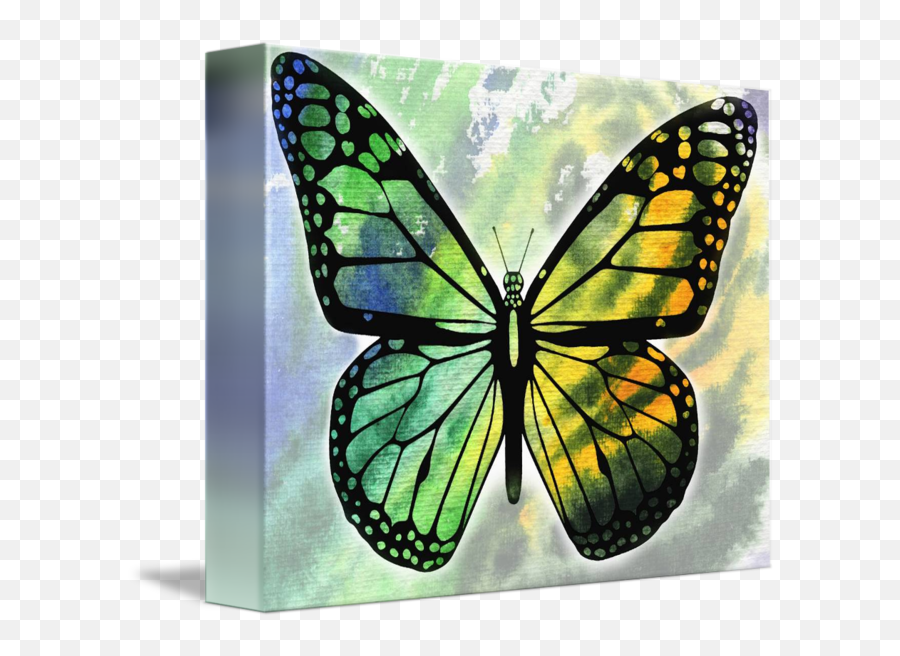 Watercolor Butterfly In Green And Yellow By Irina Sztukowski - Butterfly Painting Green Png,Watercolor Butterfly Png