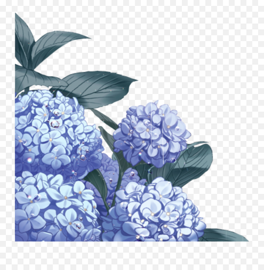 Anime Manga Blue Flowers - Sticker By Nanamey Anime Blue Flower Png,Hydrangea Png
