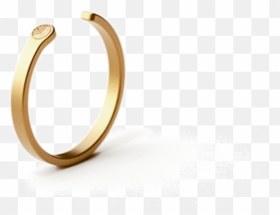 Rings U2013 Live Proverb - Solid png