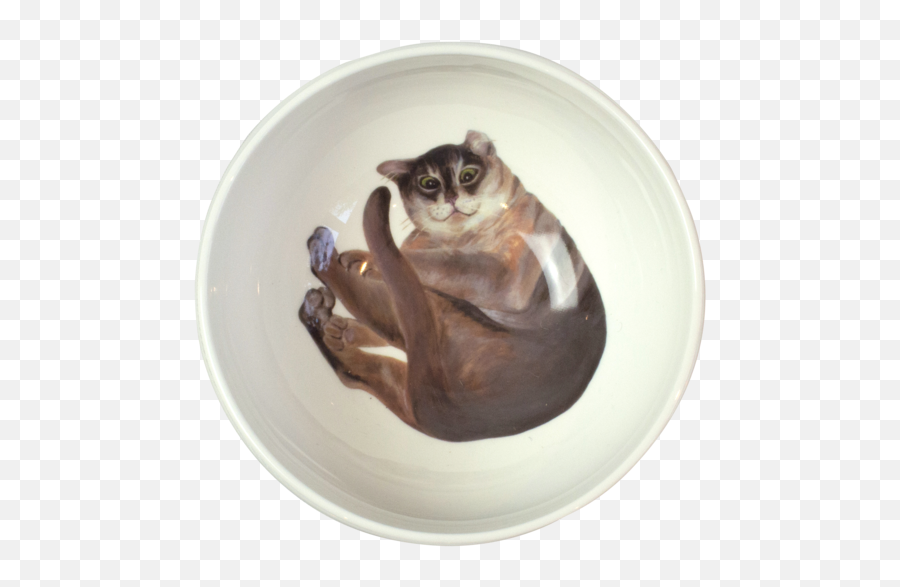 Fred - Funny Burmilla Cat Cereal Bowl Png,Cereal Bowl Png