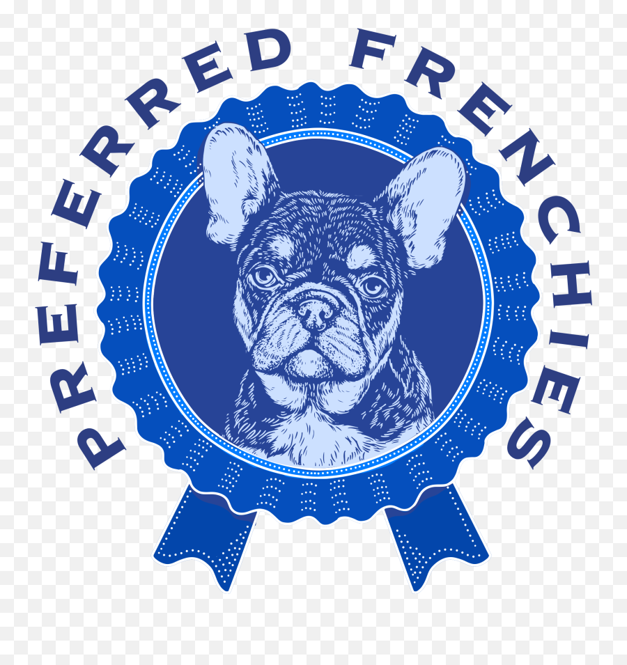 Preferred Frenchies - Exeter Chiefs Png,French Bulldog Png