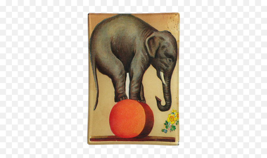 John Derian Decoupage Circus Elephant - Vintage Circus Elephant Png,Circus Elephant Png