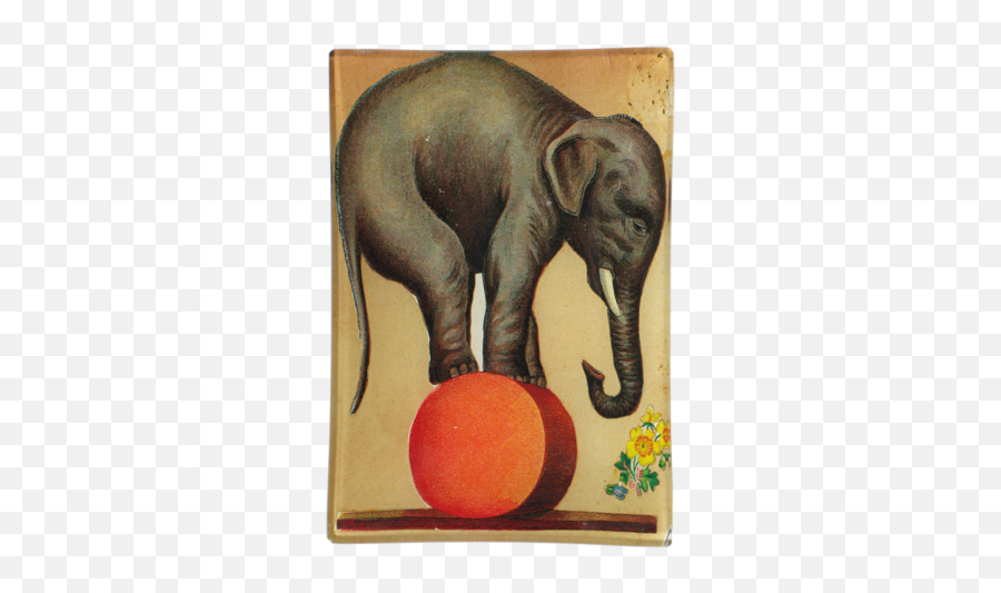 vintage circus elephant png