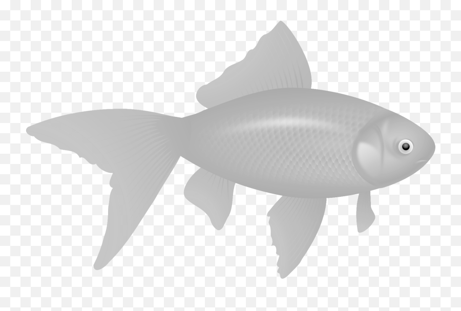 Fish Png Image Without Background Web Icons - Fish Images Hd Png,Fish Icon Png