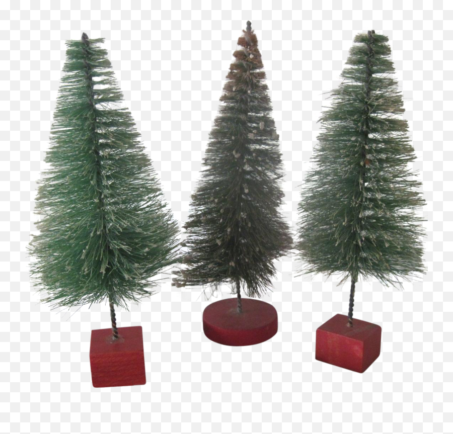 Download Set Of Three Vintage Miniature Bottle Brush - Bottlebrush Christmas Trees Png,Christmas Tree Branch Png