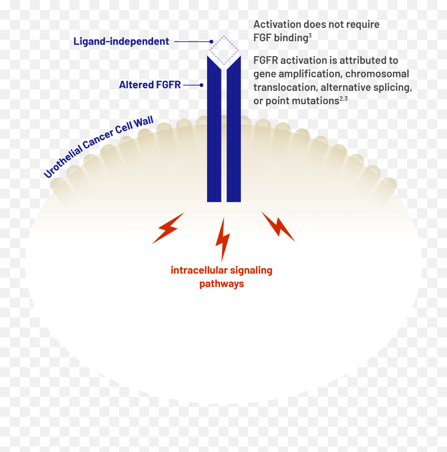 Fgfr And Biomarker Testing - Dot Png,Biomarker Icon