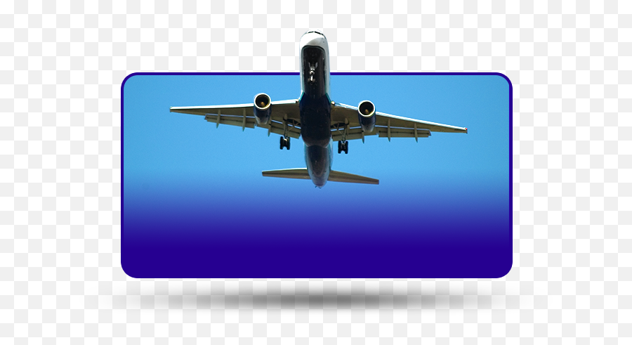 King Nut Company Petersonu0027s Gourmet Nuts U0026 Snacks Home Png Icon 5 Airplane Price