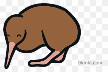 Kiwi Map Icon New Zealand Bird Flightless Eyfs Illustration - Animal Figure png