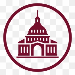 Election 2020 - The Coalition for Humane Immigrant Rights Icon png