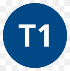 T1 Istanbul Tram - Wikidata Dot png