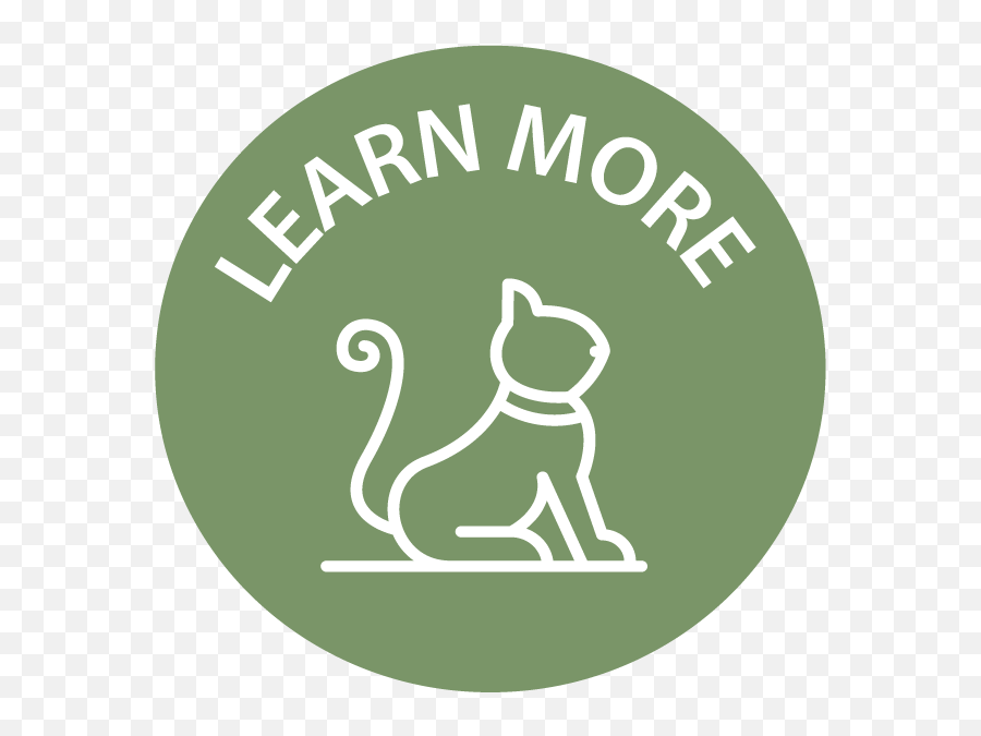 Welcome Whis - Purr Rescue Inc Paw Png,More Icon Png
